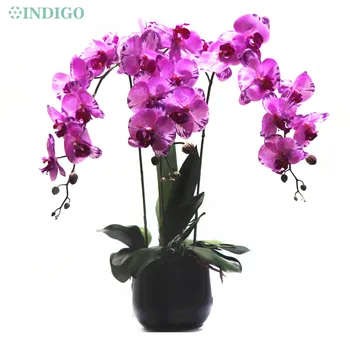 1 Nastavte DIY Fialová Phalaenopsis Orchidey Bonsai Skutočný Dotyk Umelé Svadobný Kvet Orchidea Podujatie Kvetinové Strany Displej - INDIGO