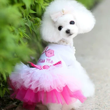 Psie Oblečenie pre Malé Psy Šaty Sweety Princezná Šaty Jar Leto Šteniatko Malého Psa Čipky Princezná Chihuahua Psa Mascotas Roupa
